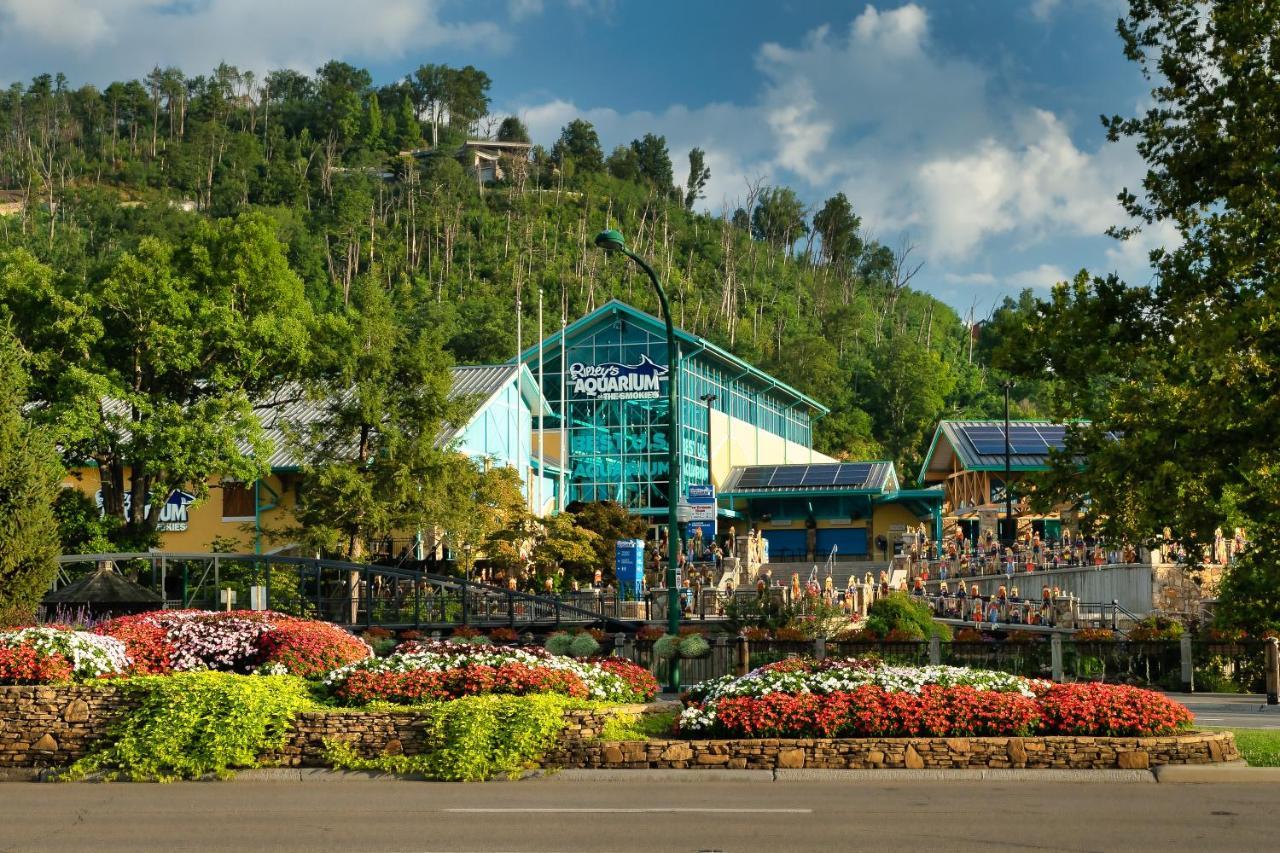 Bluebearry Patch Gatlinburg Exterior foto